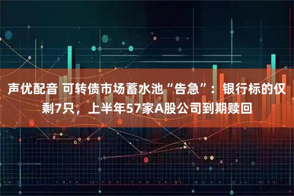 声优配音 可转债市场蓄水池“告急”：银行标的仅剩7只，上半年57家A股公司到期赎回