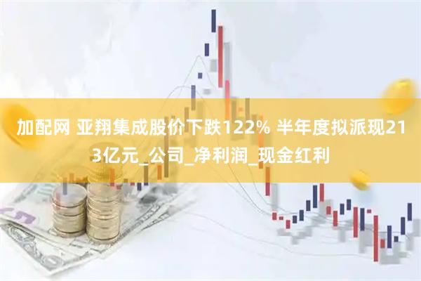 加配网 亚翔集成股价下跌122% 半年度拟派现213亿元_公司_净利润_现金红利
