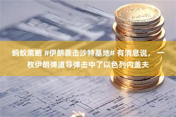 蚂蚁策略 #伊朗袭击沙特基地# 有消息说， 一枚伊朗弹道导弹击中了以色列内盖夫